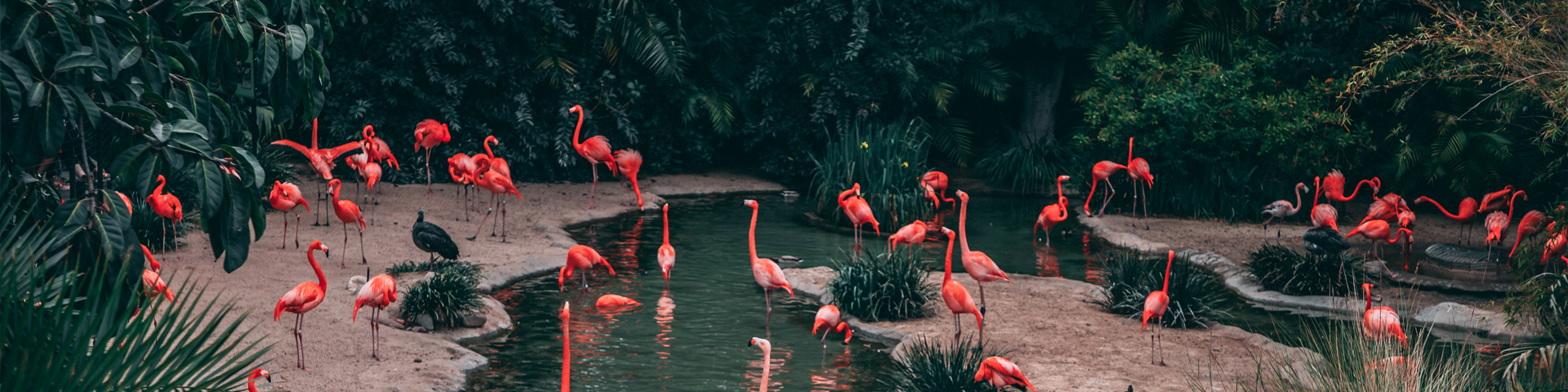 黑龙江新旅程国际旅行社有限责任公司驻马店第一网点